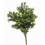 Planta artificial boj TOM en varilla, crossdoor, 30 cm