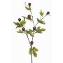 Rama decorativa de higo PROWER con frutos, verde, 90 cm