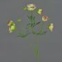 Ranúnculo artificial YARIS, verde-rosa, 65cm, Ø3-4,5cm