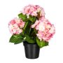 Flor decorativa Hortensia SLORFIN en maceta decorativa negra, rosa, 30 cm