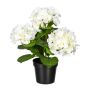 Flor decorativa Hortensia SLORFIN en maceta decorativa negra, blanca, 30 cm