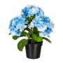 Flor decorativa Hortensia SLORFIN en maceta decorativa negra, azul, 30 cm