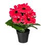 Flor artificial gerbera KROLVEN en maceta decorativa negra, fucsia, 27 cm