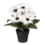 Flor artificial Gerbera KROLVEN en maceta decorativa negra, color crema, 27 cm