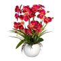 Arreglo floral artificial de orquídea Phalaenopsis TRALFEN con hierba, maceta de cerámica, raíces, rosa-verde, 60 cm
