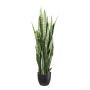Planta artificial suculenta Sansevieria PLINK en maceta decorativa, verde, 110 cm