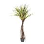 Palmera de plástico Pandanus LENHAX en maceta decorativa, raíces, 270 cm