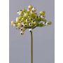Rama Pyracantha artificial CLEO, con bayas, crema-verde, 20cm