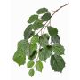 Rama de tilo artificial ANJING, difícilmente inflamable, verde, 75cm