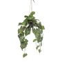 Planta artificial anturio en maceta colgante MORGANE, maceta decorativa, verde, 80 cm