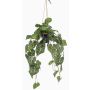 Planta artificial anturio en maceta colgante MORGANE, maceta decorativa, verde, 80 cm