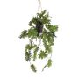 Planta artificial filodendro Selloum en maceta colgante URCO, maceta decorativa, 80 cm