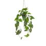 Planta artificial Filodendro Scandens, maceta colgante ZILDA, maceta decorativa, 80 cm