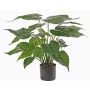 Alocasia artificial AROA, verde, 50cm