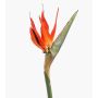 Strelitzia artificial MELIORN, naranja-violeta, 85 cm