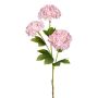 Rama decorativa de bola de nieve SKORNE, color rosa, 60 cm