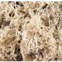 Musgo islandés natural FINNBJÖRN, natural, 50g