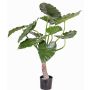 Planta artificial de alocasia odora SURI, verde, 80cm