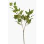 Rama decorativa de abedul NERIS con flores, verde, 70 cm