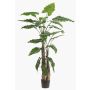Planta artificial Alocasia Sanderiana ALBULA, verde, 180 cm