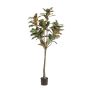 Árbol de magnolia Yulan artificial BELLITA, tronco artificial, verde oliva, 150 cm