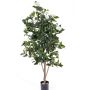 Árbol camelias artificial YONAI, tronco real, flor, blanco, 155cm