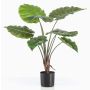 Planta artificial Alocasia Calidora FAYOR, verde, 70 cm