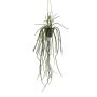 Maceta colgante artificial Rhipsalis pilocarpa JEXIA, maceta decorativa, verde, 85 cm