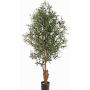 Olivo artificial FINLOR, tronco real, zona transversal, 170cm