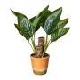 Planta artificial de caña de azúcar NEXAR en maceta decorativa, verde, 45 cm