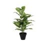 Planta artificial Dieffenbachia ELSAWA en maceta decorativa, verde, 65 cm