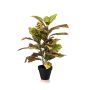 Planta artificial Kroton ISKANDAR en maceta decorativa, multicolor, 65 cm