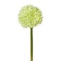 Flor decorativa Allium WANDENY, verde crema, 65 cm