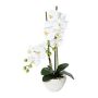 Orquídea Phalaenopsis textil DINKA en cuenco de cerámica, raíces, blanca, 50 cm