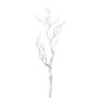 Rama decorativa de abedul SNEFLO, blanca, 75 cm