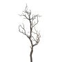 Rama decorativa de abedul SNEFLO, marrón, 75cm