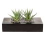 Suculenta artificial Aloe variegata FRONZ en caja de madera, verde y blanco, 24 x 11 x 14 cm