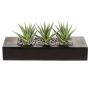 Suculenta artificial Aloe variegata FRONZ en caja de madera, verde y blanco, 36 x 15,5 x 16 cm