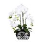 Flor de plástico Phalaenopsis Orquídea SINKA en maceta decorativa plateada, blanca, 55 cm