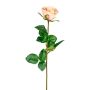 Flor decorativa rosa NORLAN, rosa claro, 70 cm