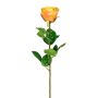 Flor decorativa rosa NORLAN, albaricoque, 70cm, Ø8cm