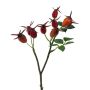Rama decorativa de rosa silvestre BRULFI con escaramujos, naranja, 25 cm