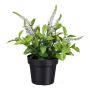Flor artificial verónica GRINTOL en maceta decorativa, blanca, 18 cm