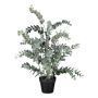 Planta artificial de eucalipto DROHIL, maceta decorativa, verde grisáceo, 65 cm