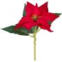 Flor de plástico flor de pascua KASNERK, roja, 40 cm