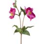 Rama de flores artificiales Rosa de Navidad IRAFESA, rosa fuerte, 40 cm