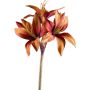 Flor artificial amaryllis de jardín KLURME, canela, 75 cm