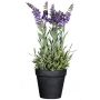 Flor decorativa lavanda KENSY en maceta decorativa, violeta, 35 cm
