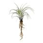 Suculenta artificial Tillandsia stricta SNELDON con raíces, verde, 22 cm