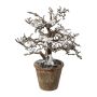 Árbol artificial haya BONKA, sin hojas, nevado, maceta decorativa, blanco-marrón, 24 cm